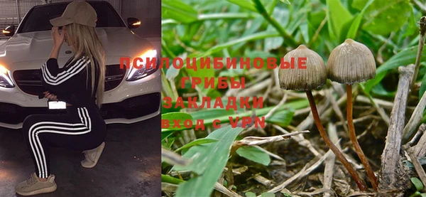 метадон Арсеньев
