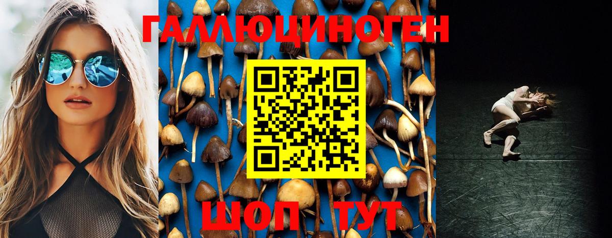 Усть-Джегута  Псилоцибиновые грибы Cubensis  цена   Вход с VPN 